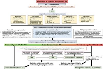 Quantification of primary mitral regurgitation by echocardiography: A practical appraisal